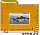 Screenshot Tommaso