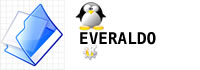 Everaldo-icone