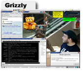 Screenshot Grizzly
